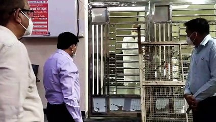 घर के बाहर खड़े रहकर कलेक्टर ने कोरोना मरीज से की चर्चा