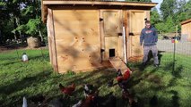 Building A New Chicken Coop For Our New Egg Laying Chickens This Is Going To Be The Best Mobile Coop