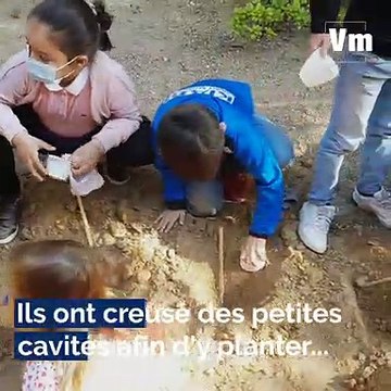 Planter un slip, le terreau d’une jeunesse cultivée au Rayol-Canadel