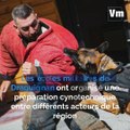 Des équipes cynophiles échangent leurs savoir-faire à Draguignan