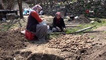 60 Hanenin Küle Döndüğü Köyde Evleri Yanan Komşularına Evlerini Açtılar