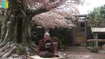 Sakura Shinjuu - さくら心中 - English Subtitles - E53