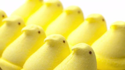 It's Not Just You, Peeps Really Are Everywhere Right Now