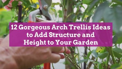 12 Gorgeous Arch Trellis Ideas to Add Structure and Height to Your Garden