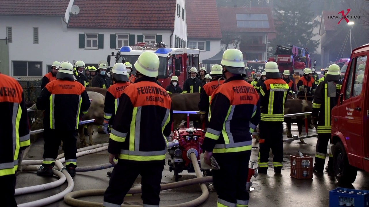 Haselbach | Brand nach Blitzschlag 10 Tiere verenden