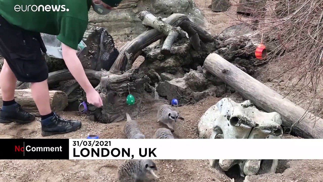 Tierischer Osterspaß im Londoner Zoo