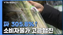 지난달 소비자물가 1.5%↑...1년 2개월만에 최고 / YTN