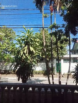 #78 GOODMORNING GUYS!!!!