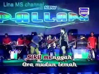 Elsa Safira ft. Brodien - Manuk Kecepit (New Pallapa)