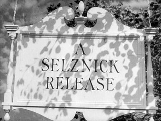 Mr. Blandings Builds His Dream House Movie (1949)