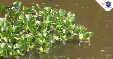 ข่าวเช้า ช่วงที่ 3 วันศุกร์ที่ 2 เมษายน 2564