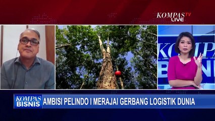 Ambisi Pelindo I Merajai Gerbang Logistik Dunia Lewat Pelabuhan Kuala Tanjung