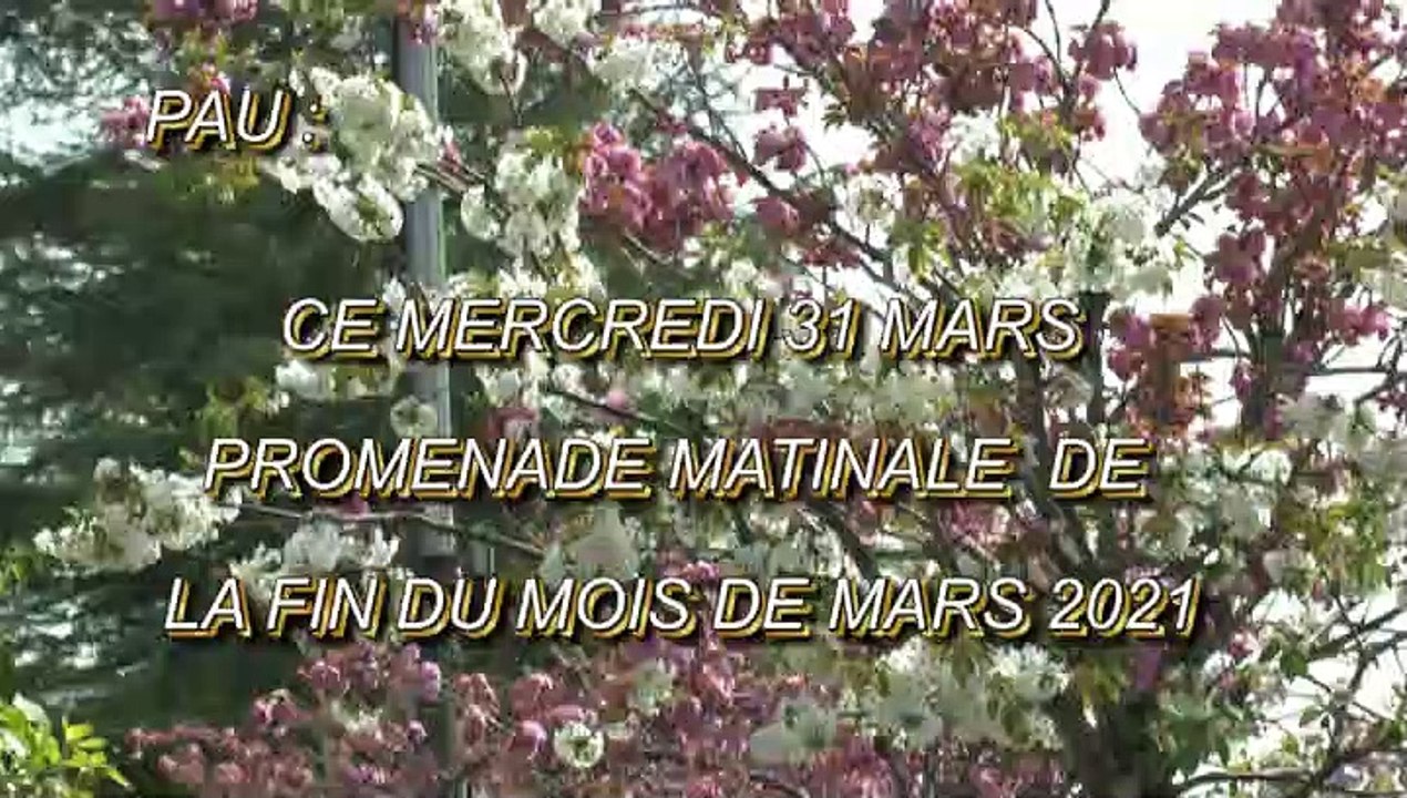 LES PROMENADES DE MICHOU64 W-D.D. - 31 MARS 2021 - CE MERCREDI 31 MARS PROMENADE MATINALE DE LA FIN DU MOIS DE MARS 2021