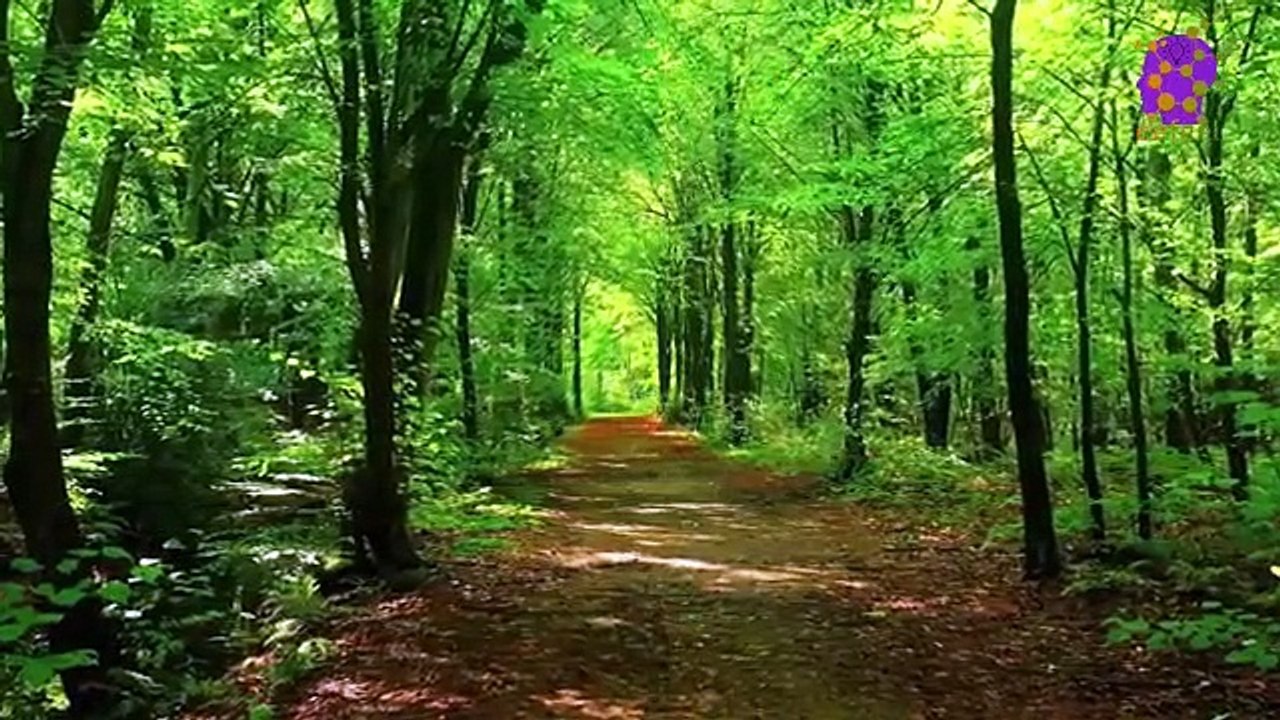 15 Minute Relaxing Study Music for Stress Relief