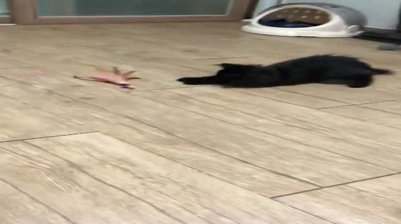테스트업로드