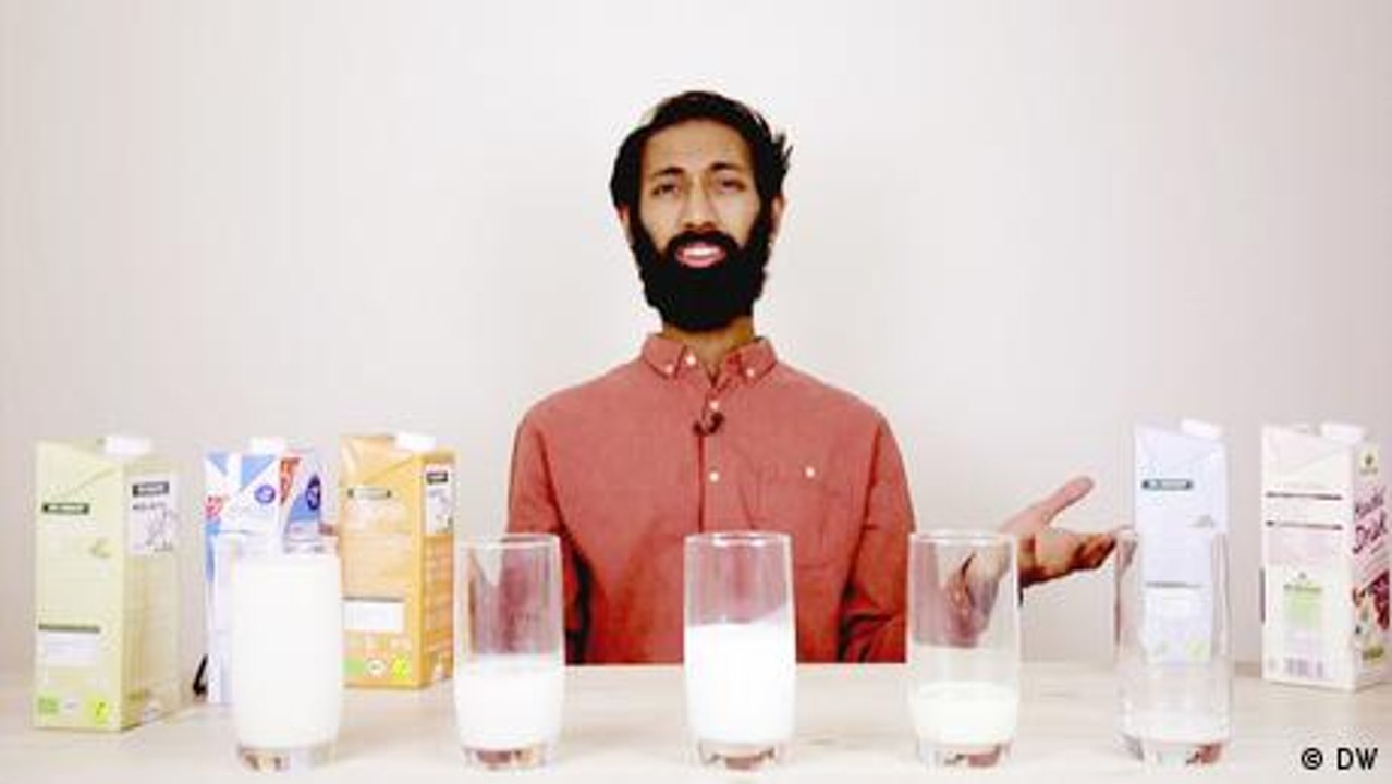 Milch aus Pflanzen