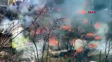 Artvin Dereiçi'ndeki yangına dair görüntüler ortaya çıktı