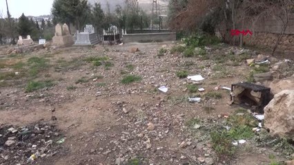 MARDİN 12 yavru köpek, mezarlığa terk edildi