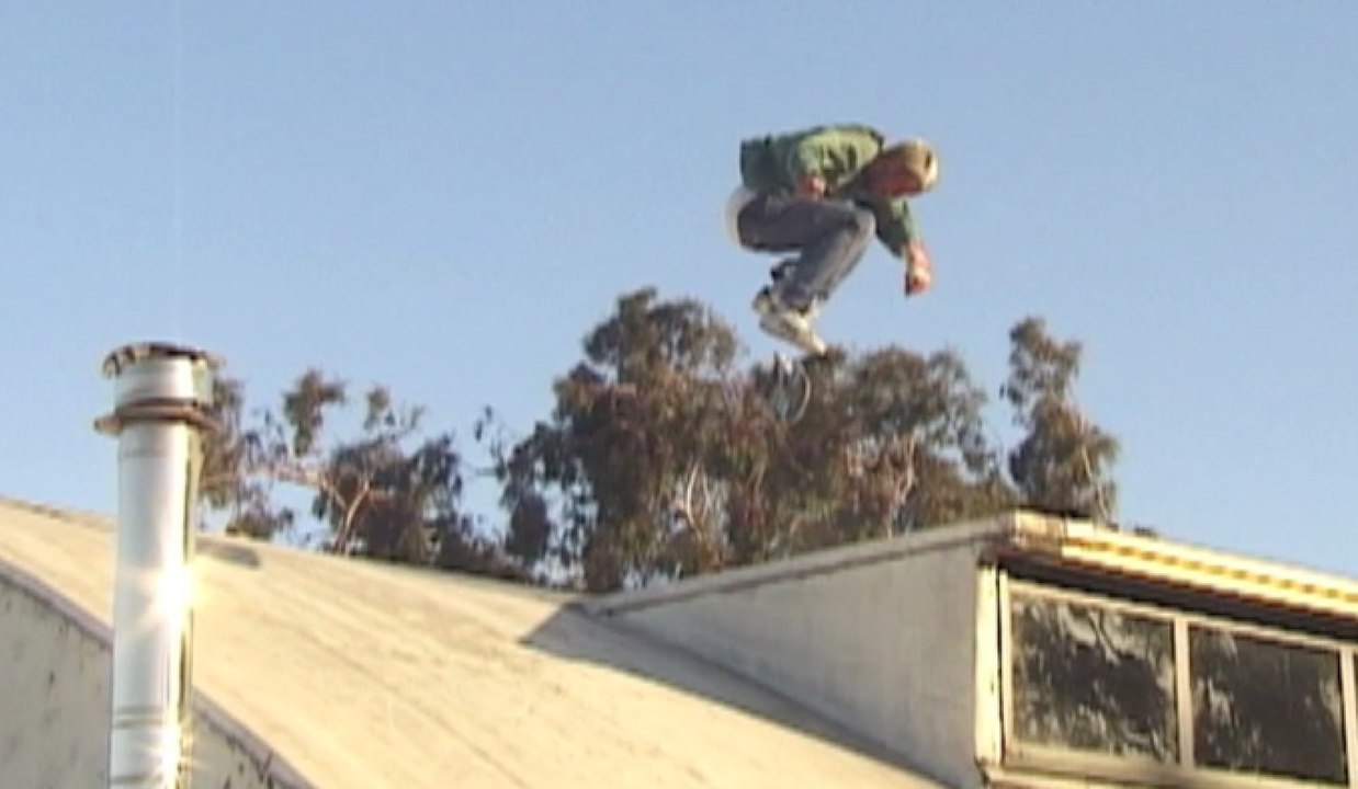 Roof Rats