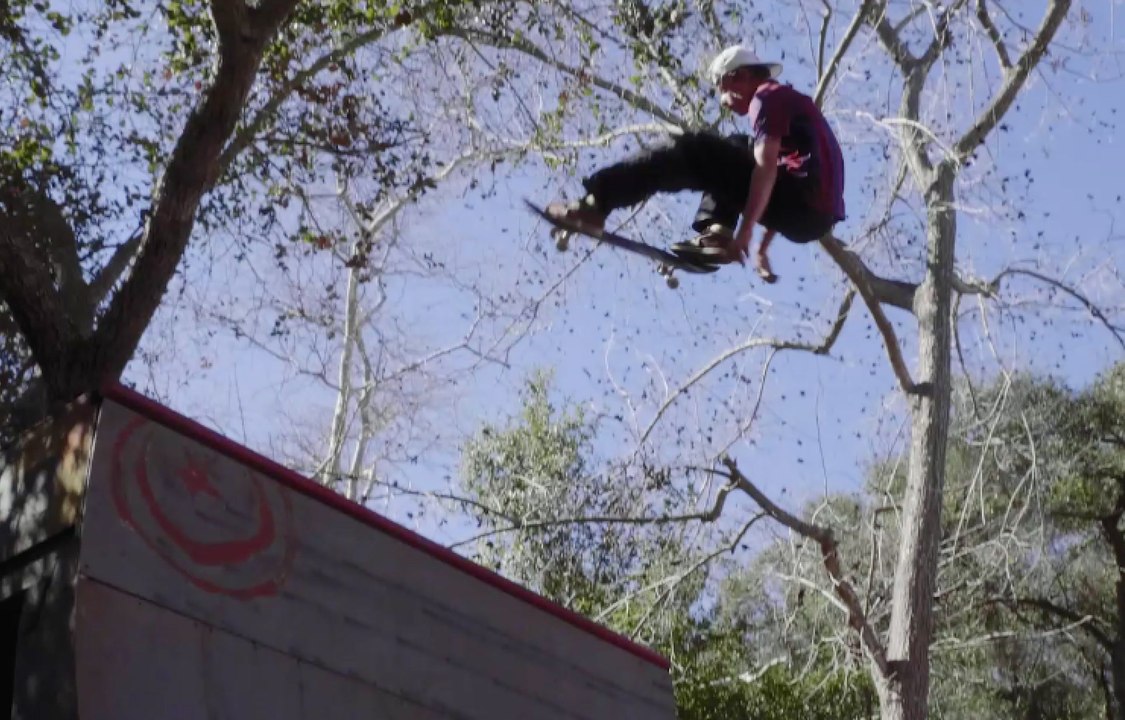 Checking In With CJ Collins
