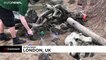 شاهد: حيوانات السرقاط وقرود السنجاب في رحلة بحث عن بيض الفصح بحديقة حيوانات لندن