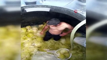 Turşu tesisindeki skandal görüntüyle ilgili gözaltına alınan şahıs serbest bırakıldı