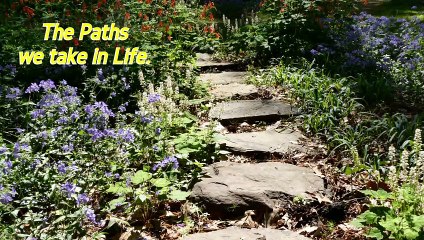 Paths We Take in Life
