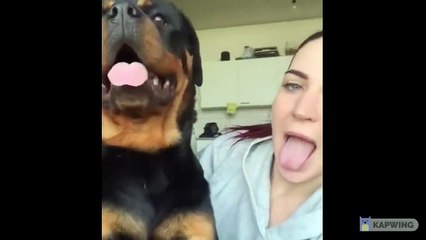 It's time to laugh! Just watch...