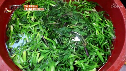 입 안 한가득 봄기운~✱ 산채비빔밥 한 상 TV CHOSUN 20210402 방송