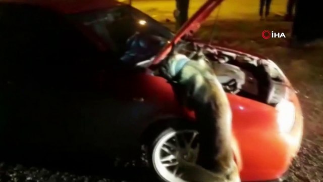 Eskişehir merkezli 4 ilde uyuşturucu operasyonu