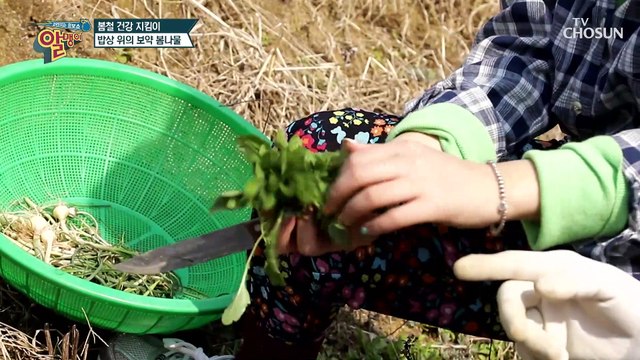 밥상 위의 보약 봄나물 제대로 알고 먹는 법! TV CHOSUN 20210404 방송