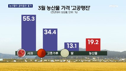 파 305%·사과 55% '폭등'…물가 1년 2개월 만에 최대폭↑