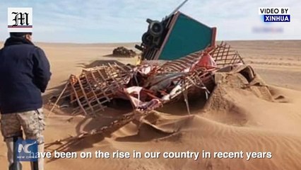 What is the Main Factor Behind Yellow Dust Storms in Mongolia?