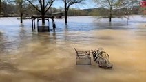Yards flooded as lake levels rise in Alabama