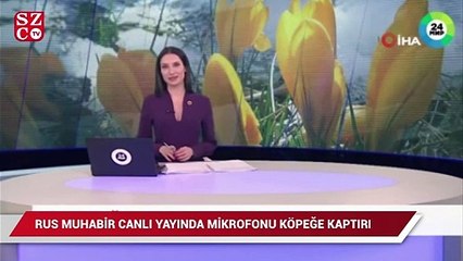Rus muhabir mikrofonunu canlı yayında köpeğe kaptırdı