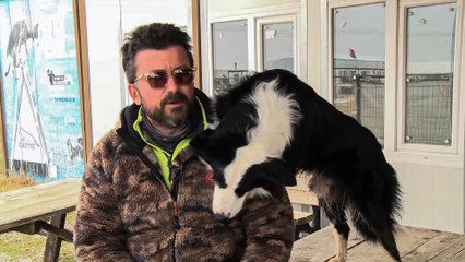 أول كلب كاشف للإصابة بكورونا في تركيا