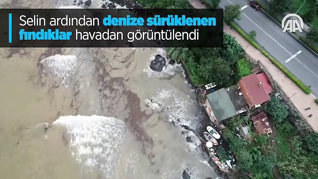 Selin ardından denize sürüklenen fındıklar havadan görüntülendi