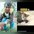 Tamil Dubsmash With Dogs And Cats ||Dogs Dubsmash ||Funny Dogs ||Pet Lovers