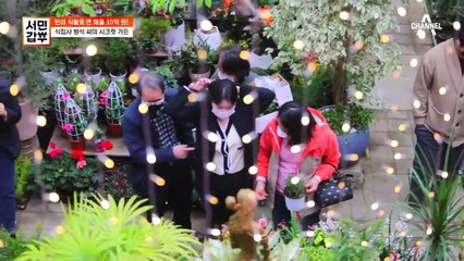 화훼 산업의 틀을 깬 발상, 가게를 정원으로 만든 갑부