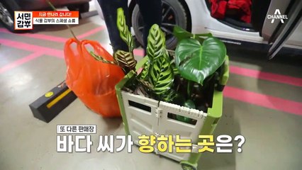 (고급진 향기 물씬) 식물 하나 바꿨을 뿐인데... 확~바뀐 매장 분위기