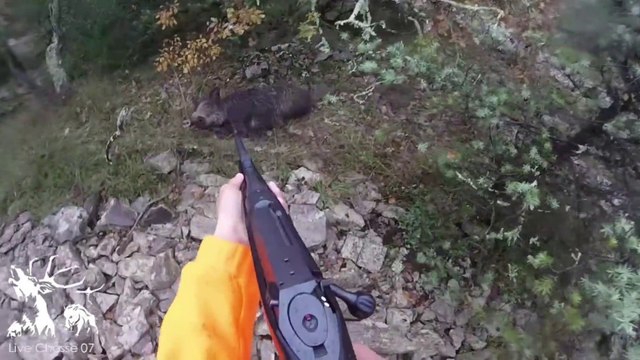 sanglier-chevreuil-quelques-scenes-de-chasse-en-battue