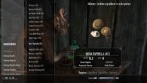 Skyrim Best Potions Guide
