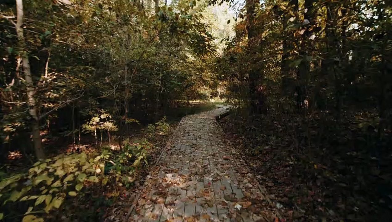 Autumn