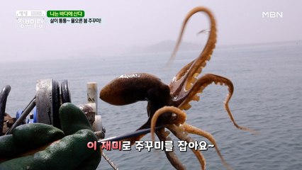 나로 말할 것 같으면 바다에 산다!