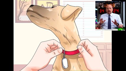 Start a NonAnimal Rescue