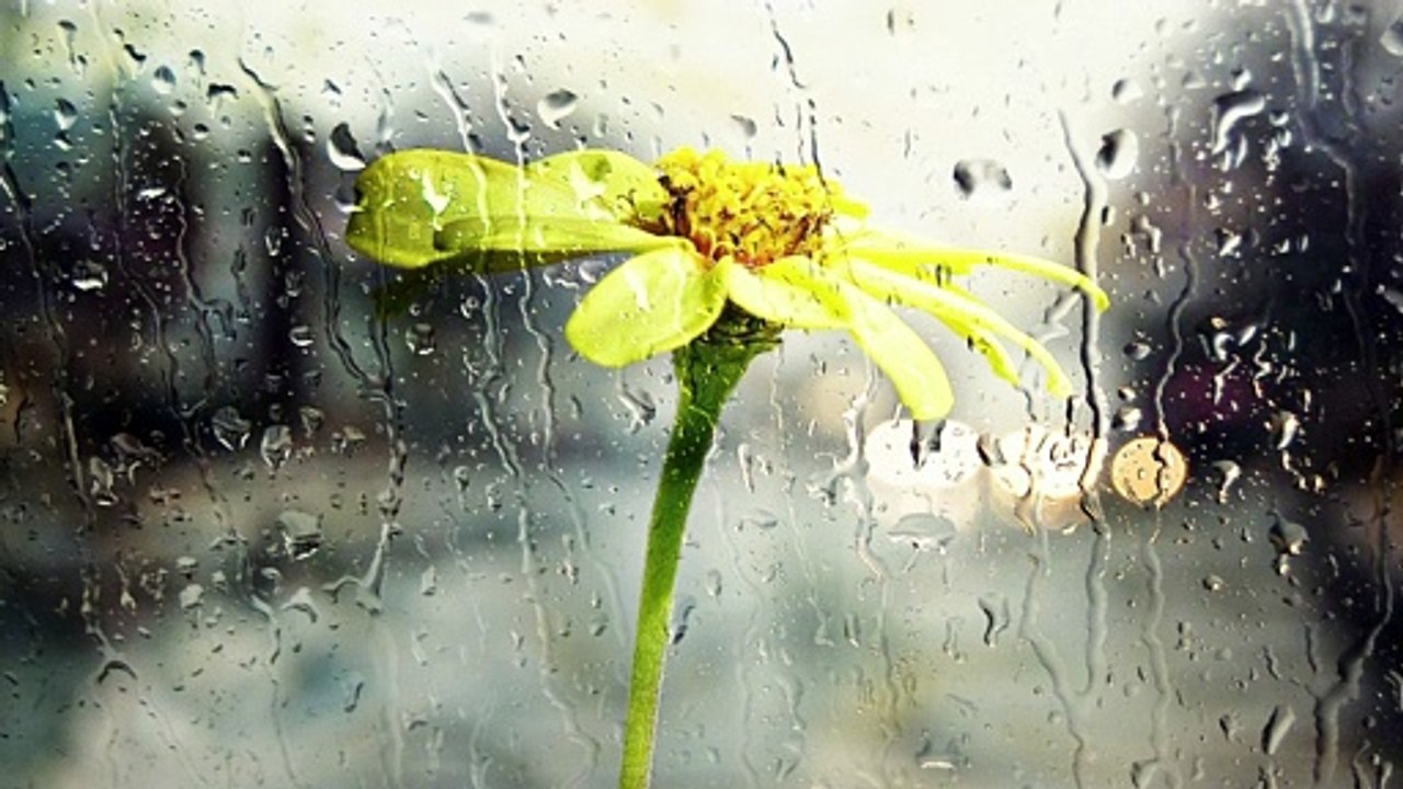 Storm Sounds for Sleep with Calm Piano Music