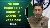 No ban imposed on export of Covid-19 vaccines: MEA