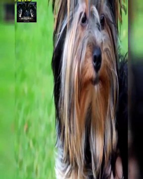 Juan Luis Guerra EXITOS, EXITOS, EXITOS Sus Mejores Canciones - Juan Luis Guerra Mix Nuevo 2018