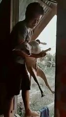 Playing with our most lovable dog