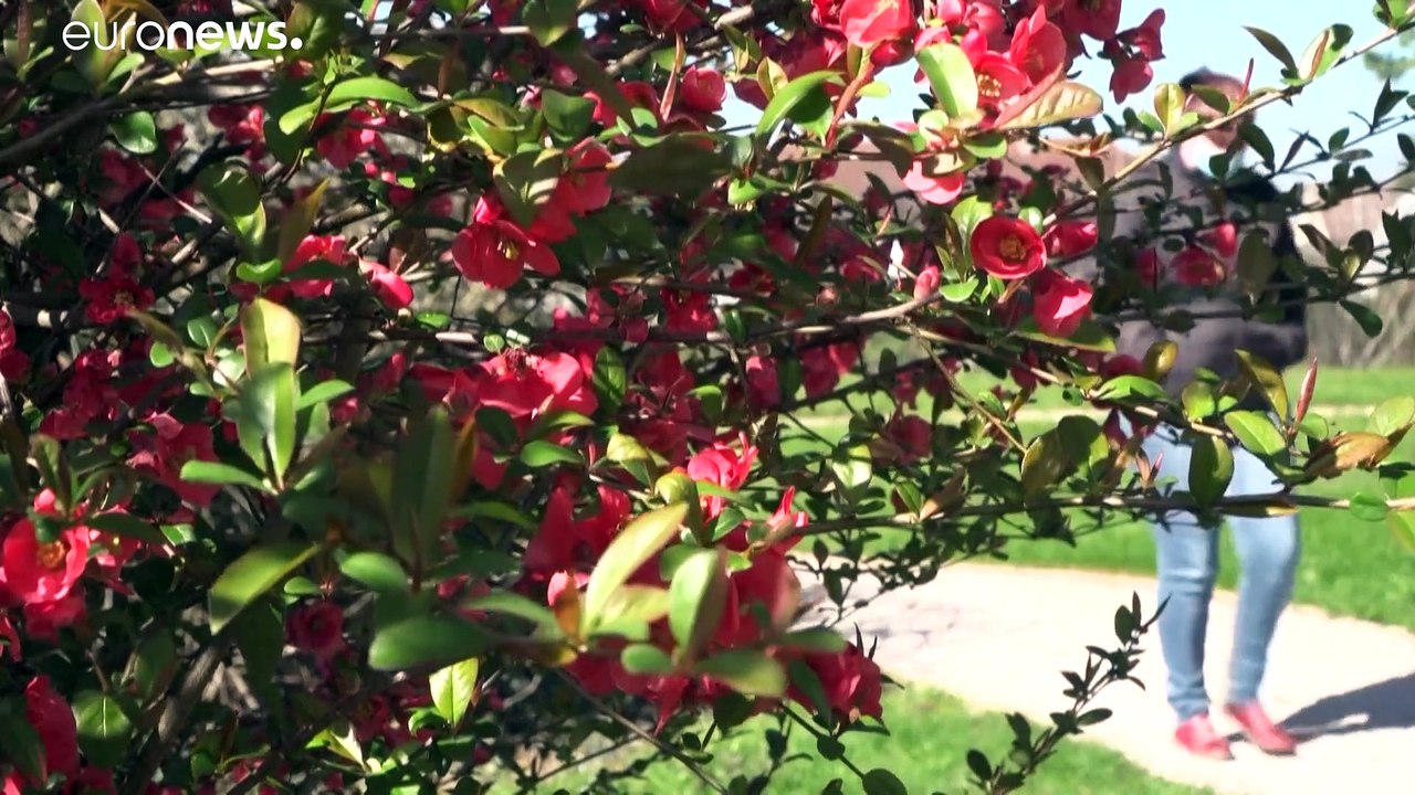 Burn-out durch Corona: Therapie für traumatisiertes Pflegepersonal